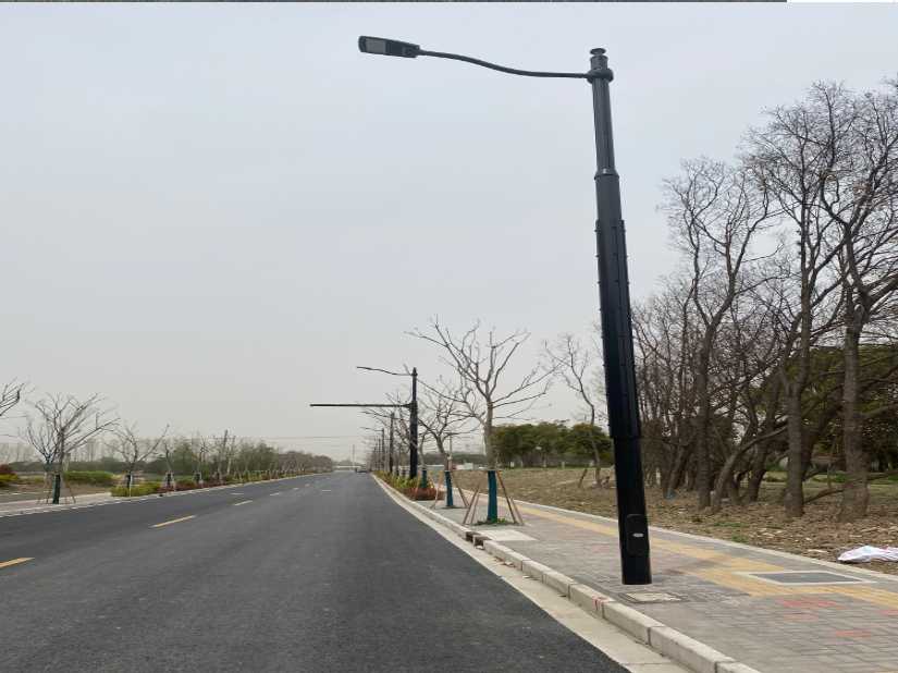 武鸣区上海综合杆 太阳能路灯工程